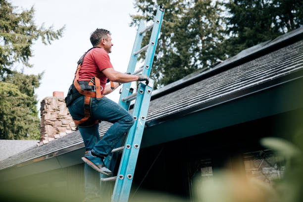 Best Chimney Flashing Repair  in Ocean Park, WA